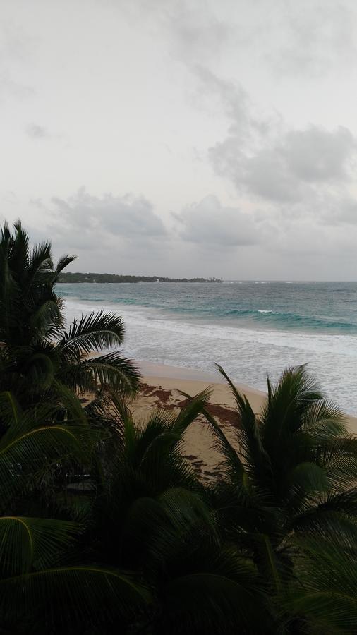 Corn Island Hostal Alal Suite North End المظهر الخارجي الصورة